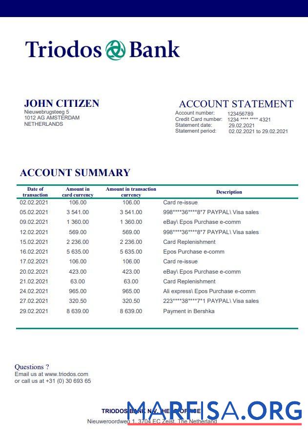 Downloadable Netherlands Triodos bank statement word real example